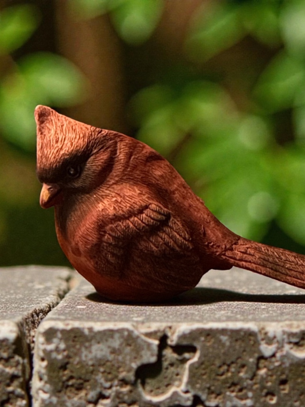 Vintage adorable little cardianl bird